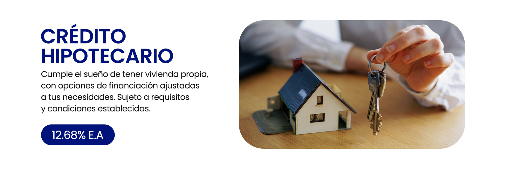 Mesa de trabajo 1 copia 4