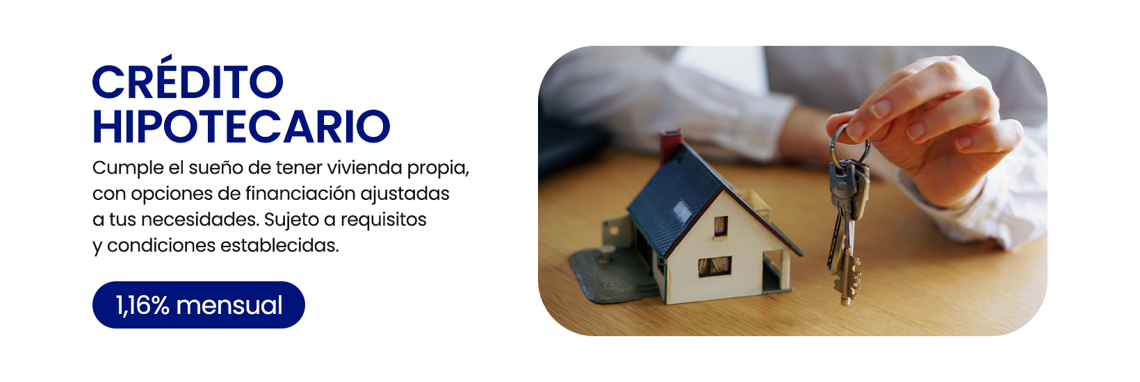 Mesa de trabajo 1 copia 4